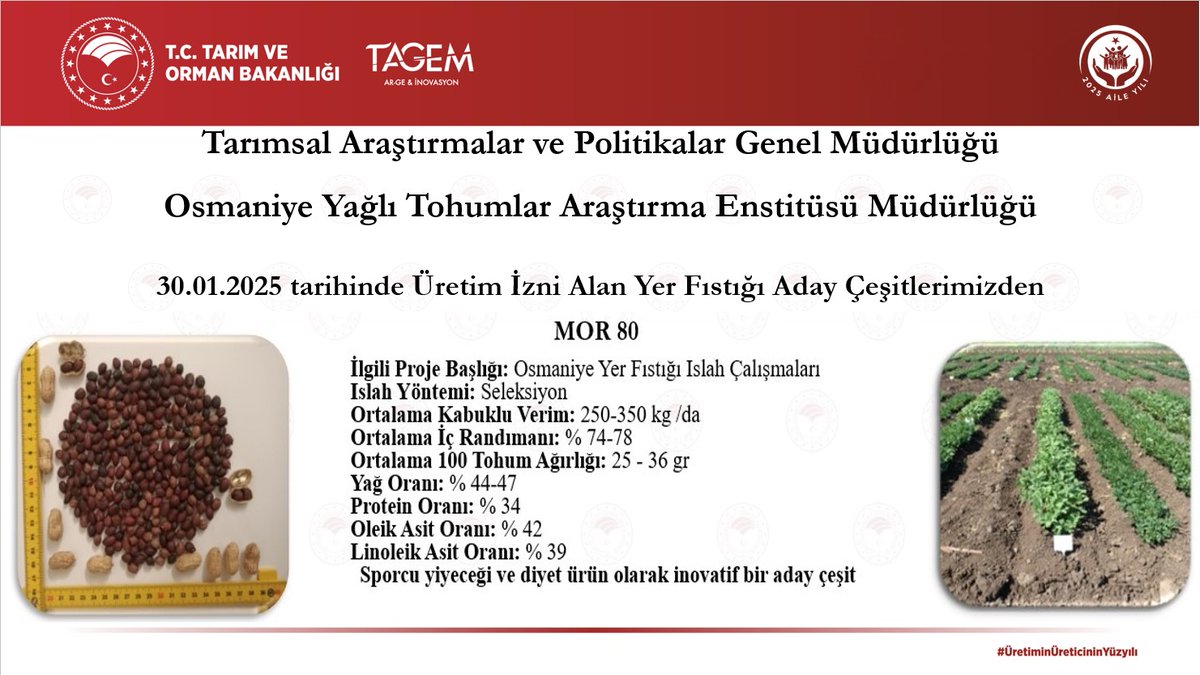 Enstitümüz Islah ve Genetik Bölümü tarafından geliştirilerek tescile aday gösterilen yer fıstığı çeşit adaylarımız “GÜNBU 80” ve “MOR 80”  Tescil ve Sertifikasyon Merkez Müdürlüğü tarafından gerçekleştirilen toplantı sonucunda üretim izni almaya hak kazanmıştır.