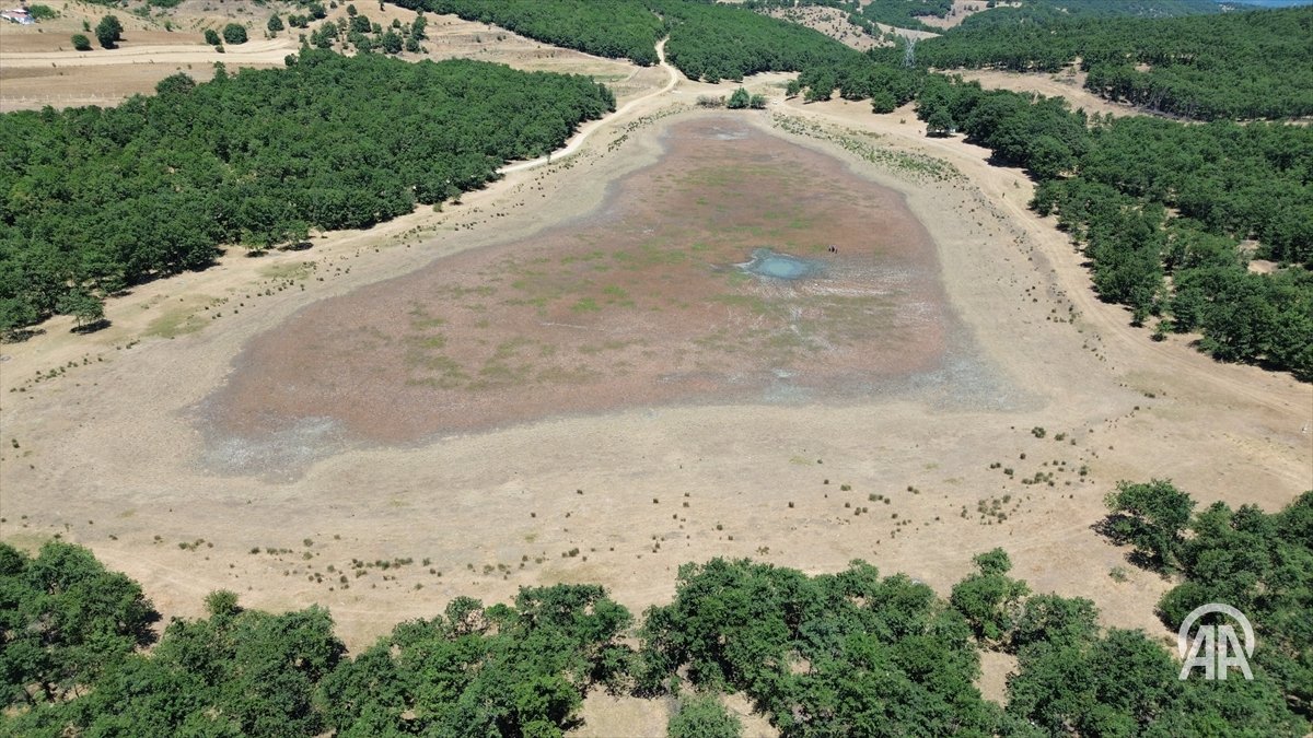 Kuzey Ormanları'nın bir doğal göleti daha kurudu.

Bilecik Söğüt ilçesine bağlı Rızapaşa ve Yeşilyurt köyleri arasındaki gölet kuruyunca içinde yaşayan tüm canlılar öldü.

Kuzey Ormanları’nda sürmekte olan yıkım, Marmara ve Batı Karadeniz’de yaşayan sayısız canlı ve milyonlarca