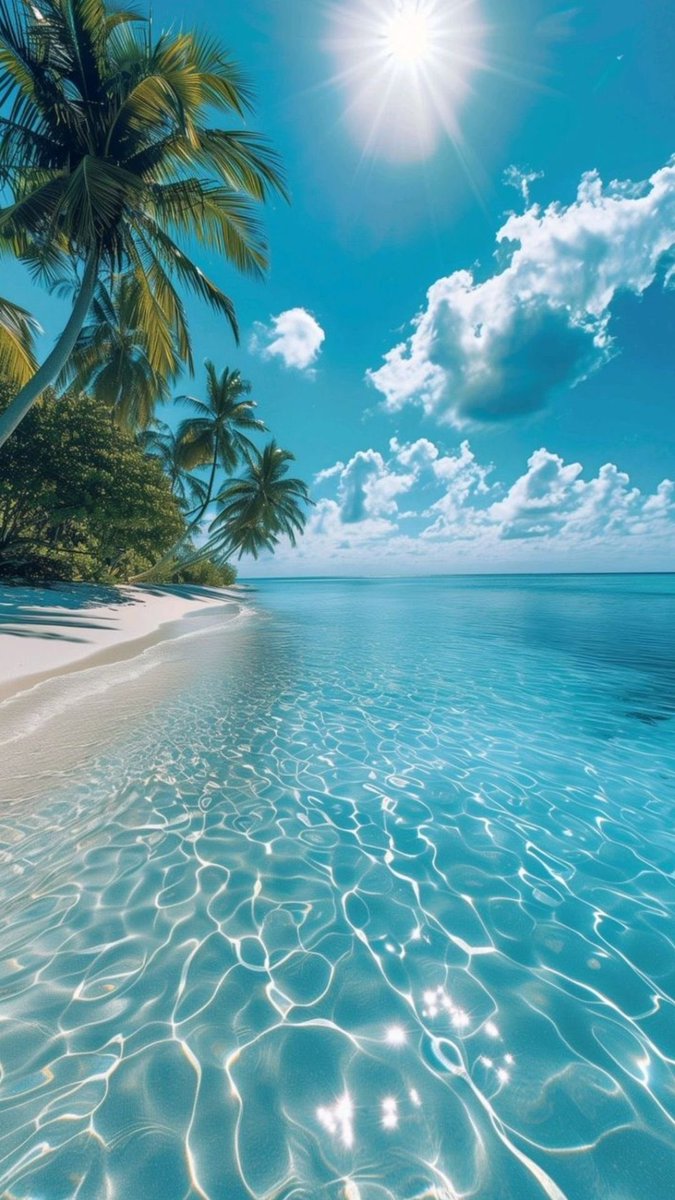 SeascapeNature's tweet photo. https://t.co/CSrnaXpyCL