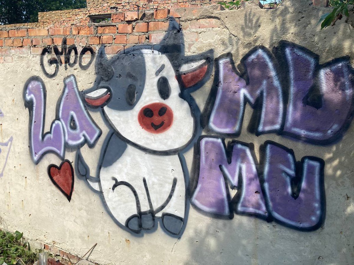 bloomonad's tweet photo. My first art for the project, I decided to draw graffiti on the wall, I hope you like it, I tried, the whole city will see this art and it will stay there for a long time @lamumudotxyz 

@commondotxyz #lamumudotxyz
@0xmullet @RhysFH @dillchen https://t.co/kFwrE6gfak