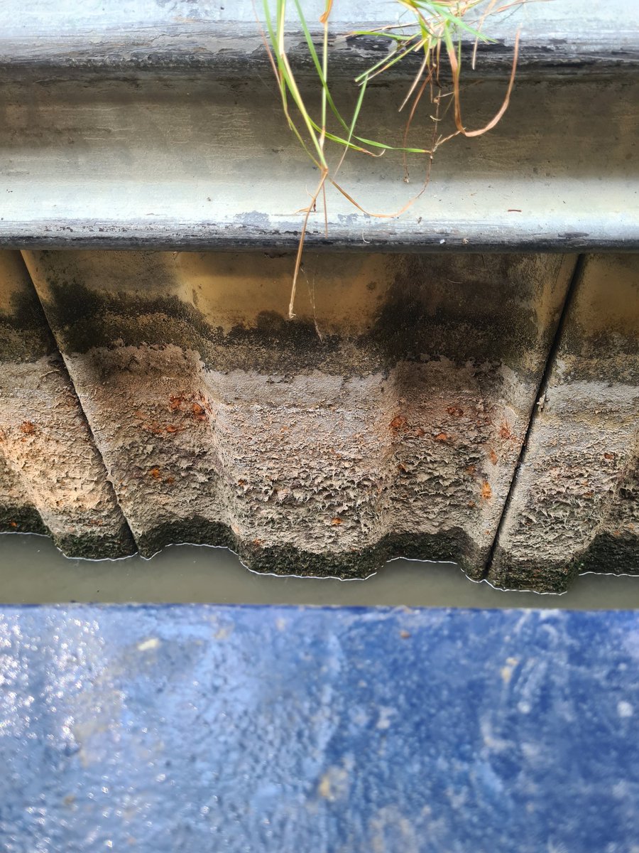 I hope the levels don't drop anymore!