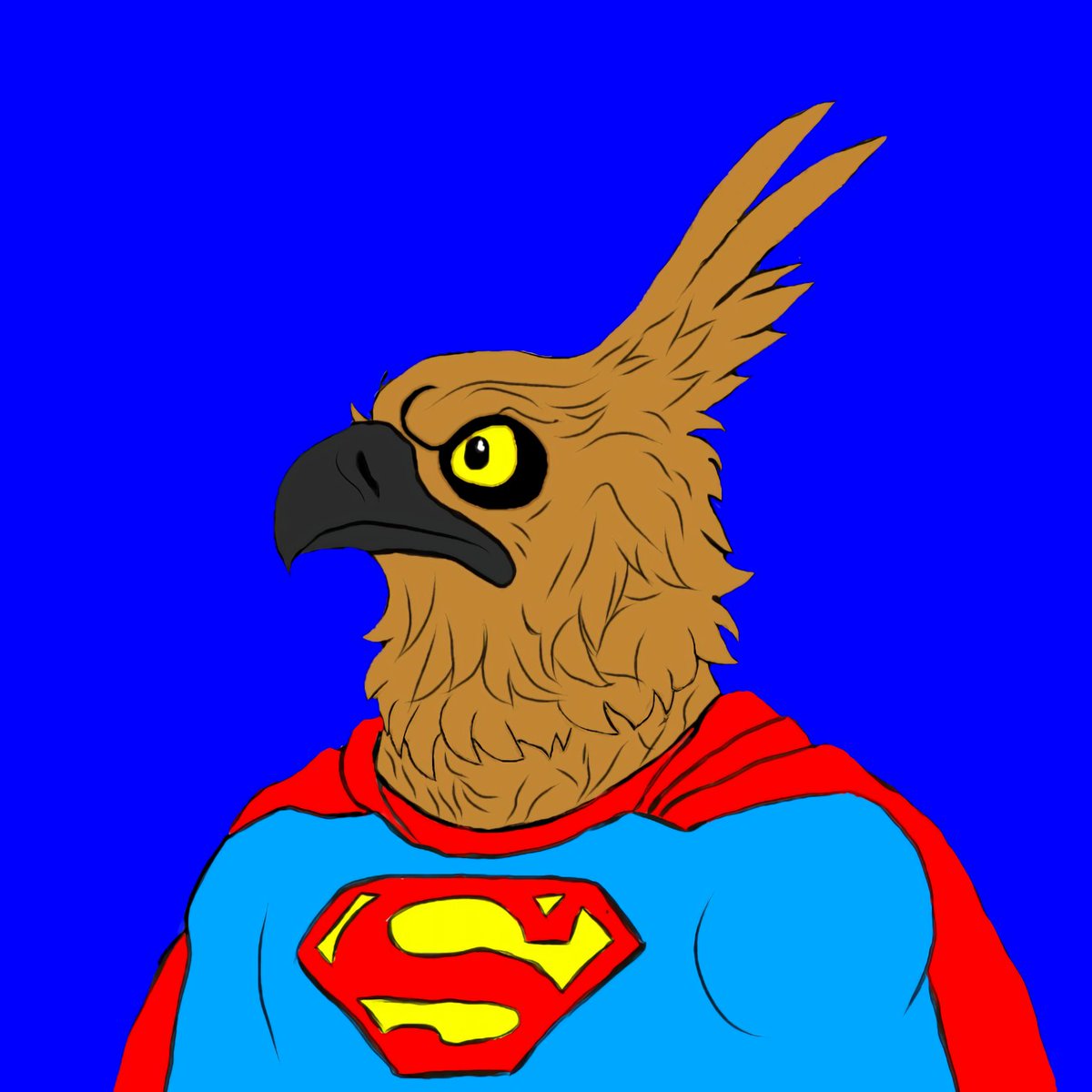 Nisaetus Bartelsi tweet media