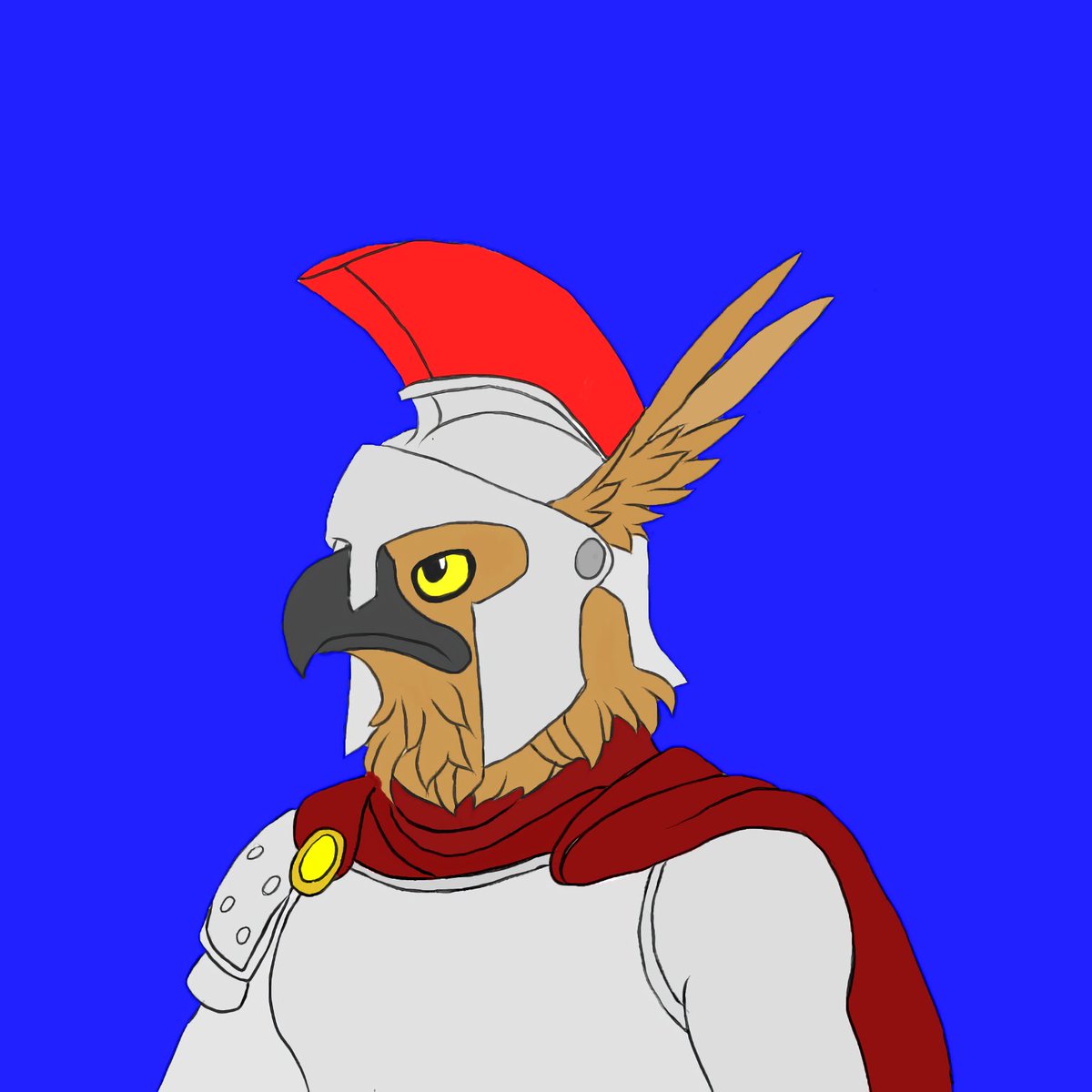 Nisaetus Bartelsi tweet media