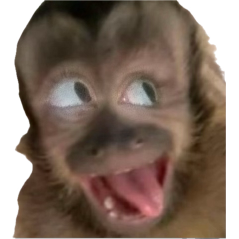 I have an itch for academic stress