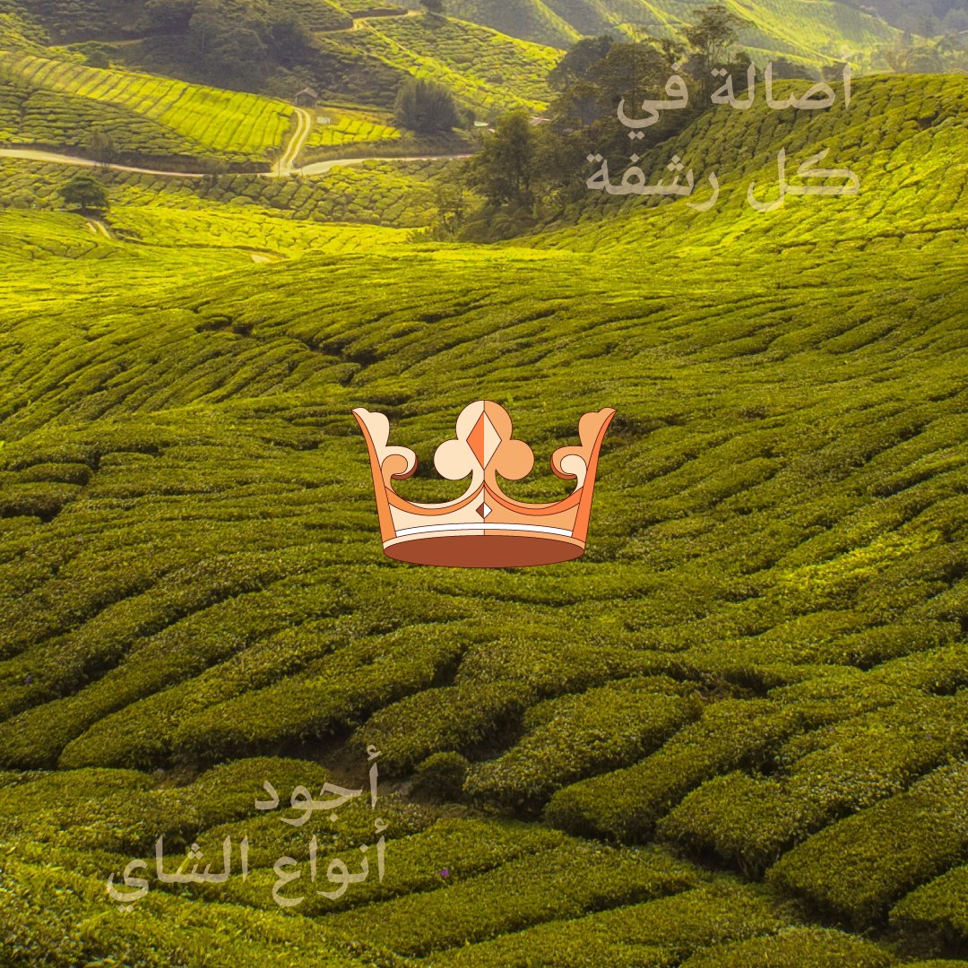 Soliman Algendy | سُليمان الجندي tweet media