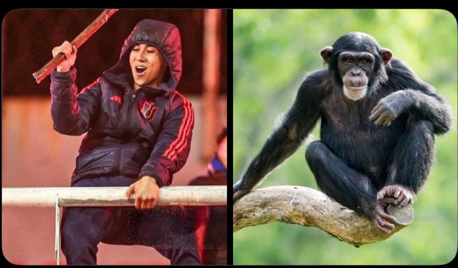 Encontra las 7 diferencias <a href="/CONMEBOL/">CONMEBOL.com</a>