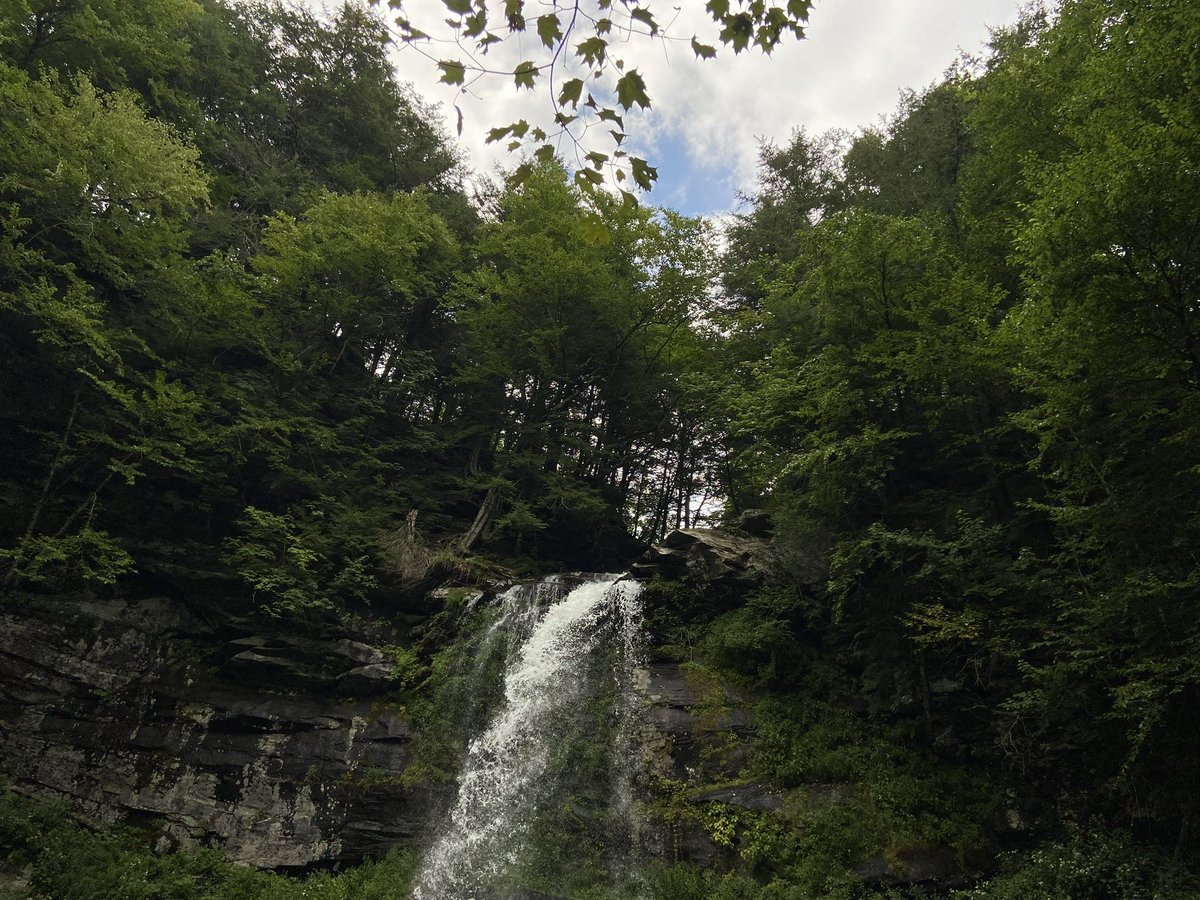 A favorite hike from 4yrs ago, somewhere in the Catskills. So damp and mossy and lovely.