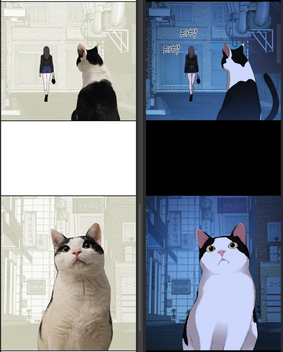 고양이는 저희집 고양이 트레이싱 했습니다 ㅎㅎ