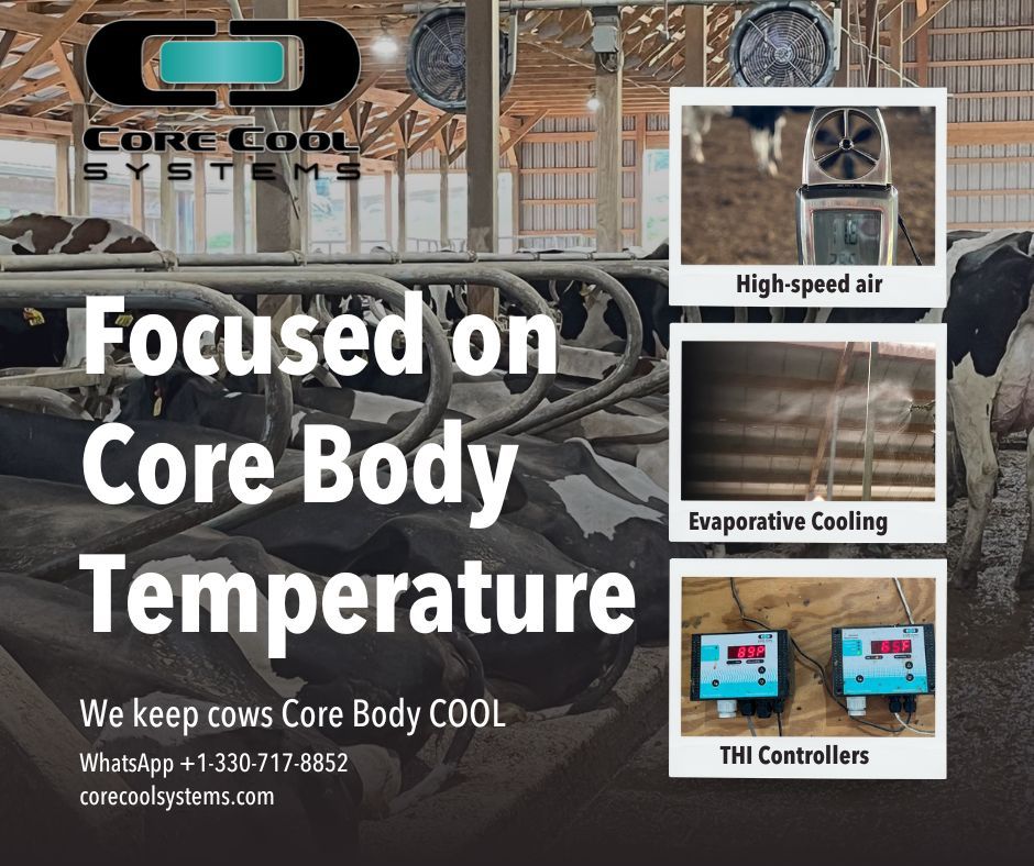CBT = the truth about heat stress 🐄
Air temp &amp; humidity give clues, but when CBT rises just 0.5°C, cows eat less, milk drops &amp; fertility suffers.
Keep her cool, keep her performing.
#CBT #CowComfort #HeatStressPrevention #CoreCool