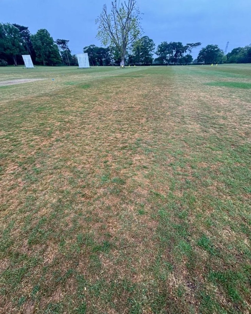 TheAndersonsPro's tweet photo. Perennial Rye in peak form at these cricket grounds in England after a 3-2-1 with Hydra Charge application! Before ➡️ After
#TheAndersonsPro #PerennialRye #CricketGrounds #SportsTurf #TurfTransformation #TurfCare #BeforeandAfter https://t.co/2PWQEqbpb6