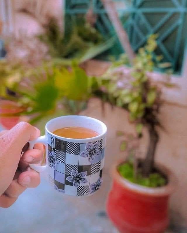 AvinashYadavSP4's tweet photo. तलब दोनों ही जानलेवा है,
"हुजूर"....
कमबख्त #चाय की हो या #चाहत की..☕☺️
#GoodEveningX
#EveningTeaTime
#CopaSudamericana https://t.co/YufAlPNbkH