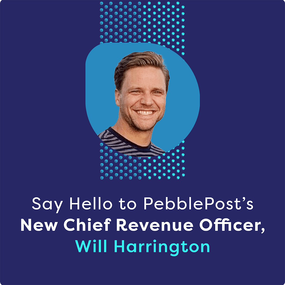 PebblePost tweet media