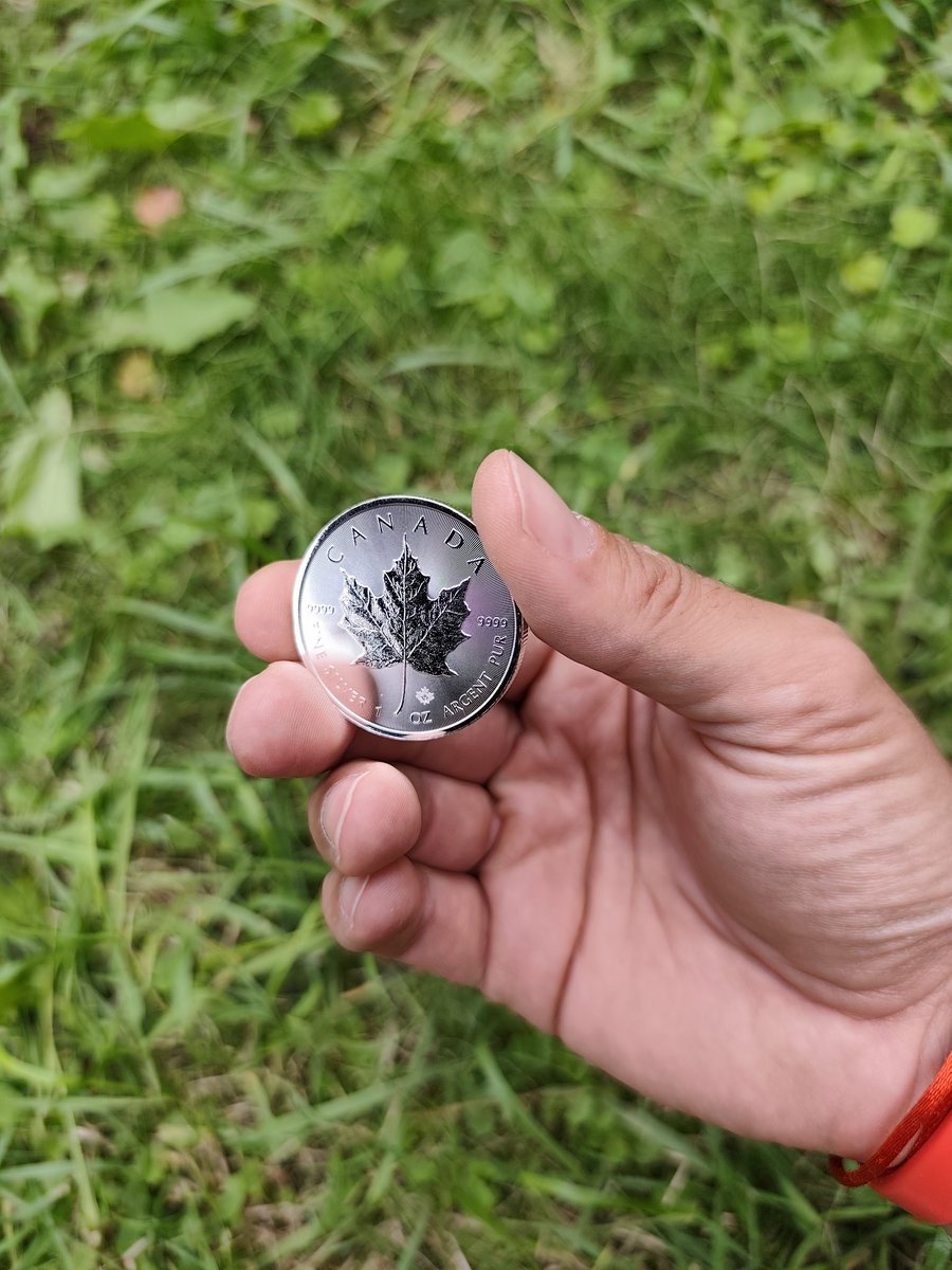 honzacern1's tweet photo. I love nature, and you?
#silvergrass https://t.co/Y4C8Bnf4wW