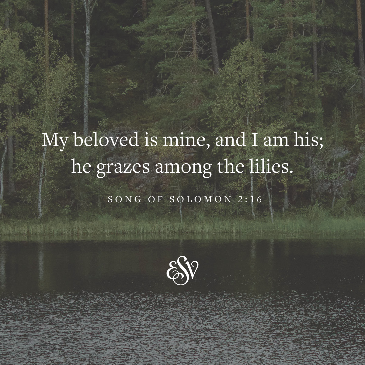 My beloved is mine, and I am his; he grazes among the lilies. 
—Song of Solomon 2:16 (ESV) 

#Verseoftheday #ESV #Bible