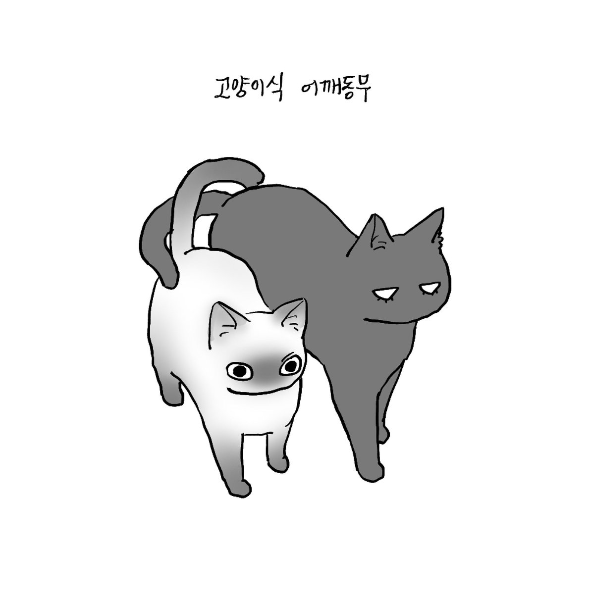 unknown (@janruganai) on Twitter photo 