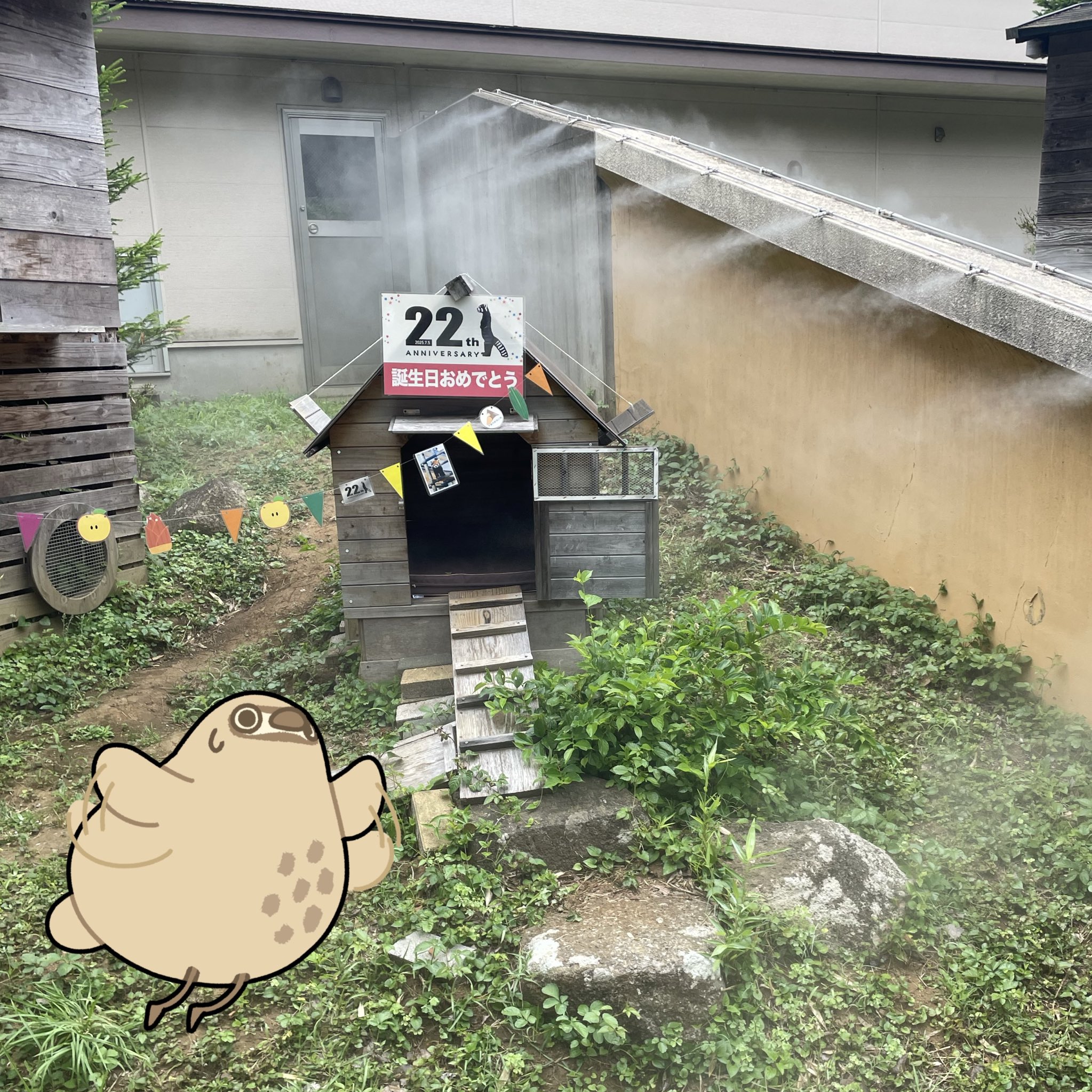 【ももぞうページ】ミニヒマワリとわんちゃん  藤の花と白ネコさん 限定1点】ふわふわ猫姫ちゃん【イラスト・三面図・ヘッダー・PV