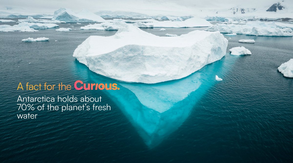 We live in a curious world.