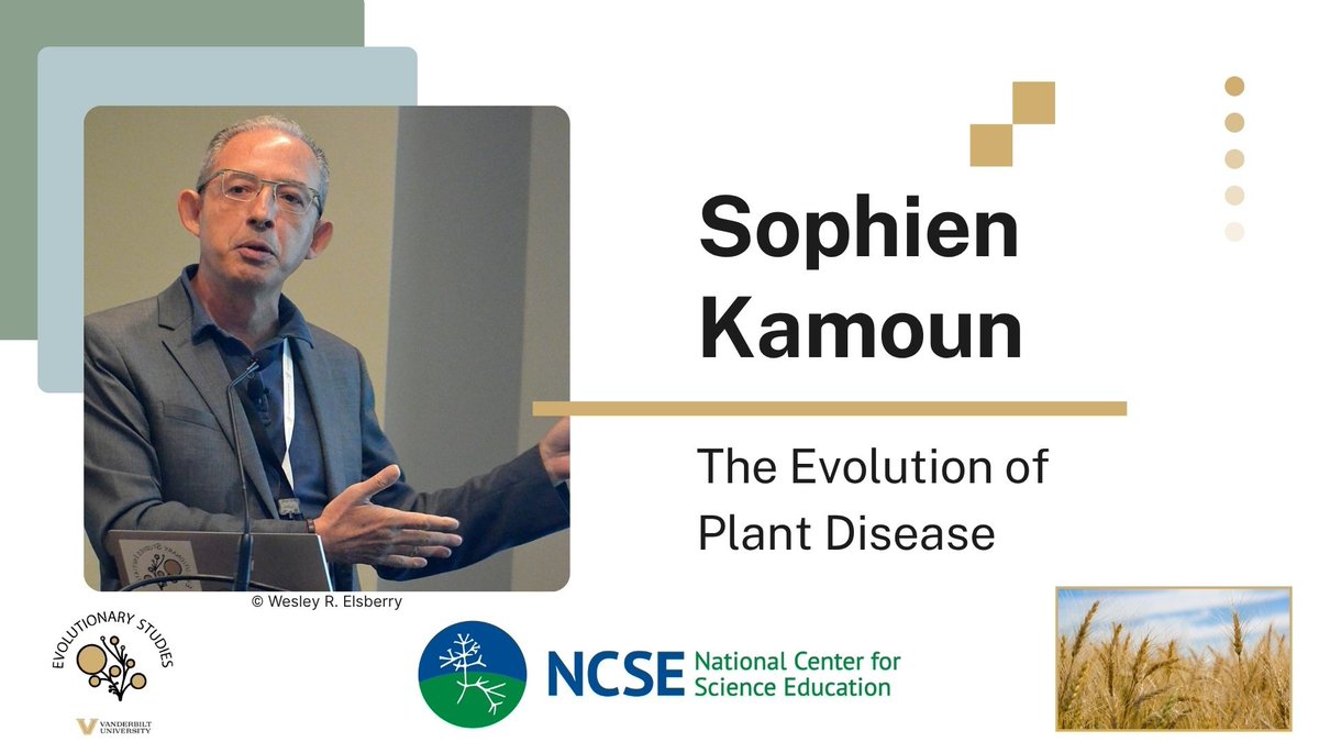EvolutionVU (@evolutionvu) on Twitter photo Just posted: <a href="/KamounLab/">Sophien Kamoun</a>’s lecture on The #Evolution of Plant Disease is now on YouTube! 🌾🧬 Check it out: loom.ly/bslHhO0 @ncse #Scopes100 Just posted: <a href="/KamounLab/">Sophien Kamoun</a>’s lecture on The #Evolution of Plant Disease is now on YouTube! 🌾🧬 Check it out: loom.ly/bslHhO0 @ncse #Scopes100
