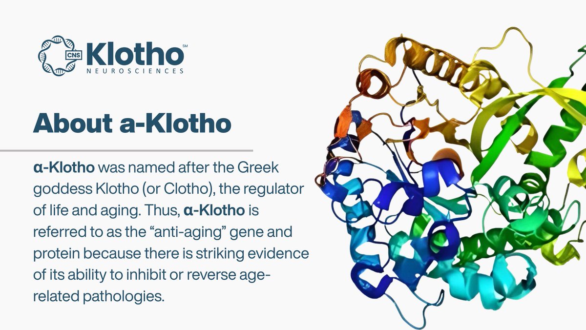 KlothoNeuroSci's tweet photo. $KLTO is focused on the development of innovative, disease-modifying cell and #genetherapies using a protein derived from an exclusively licensed and patented form of the "anti-aging" human Klotho gene (s-KL) known as a-Klotho.
Learn more here: https://t.co/0nVpdwGHvq
#KLTO https://t.co/x82MHDrLHr