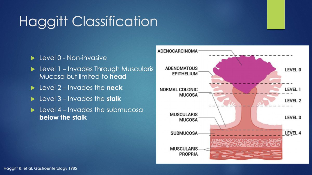 Tom Tielleman, MD tweet media
