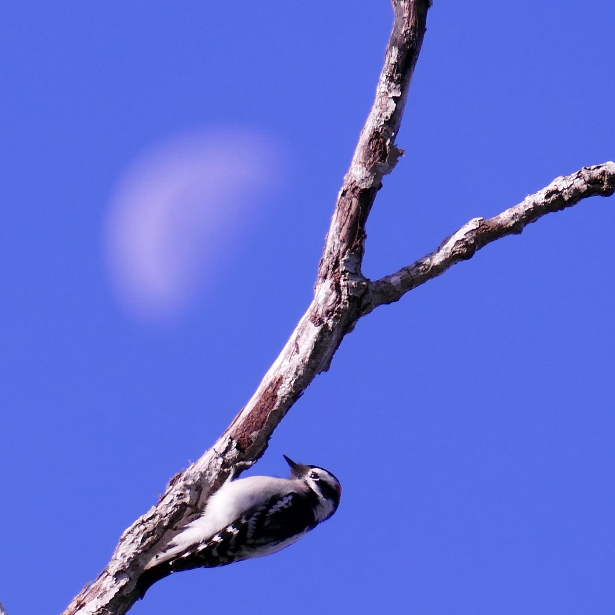 Just some pictures I’ve taken 📸