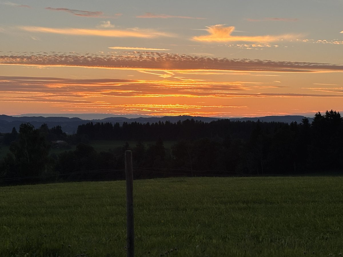 And landed in the mountains again. So beautiful here