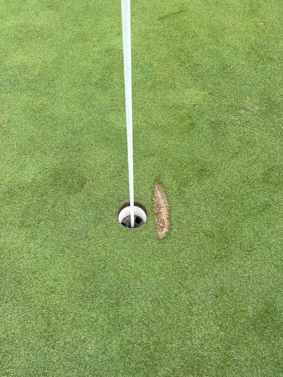 canavan_jon's tweet photo. For the past 3 years the back nine at Hansen golf course has had no stop vandalism.  If you live in the Wauwatosa area and see something. Please reach out on DM. https://t.co/ntDarGDZkS