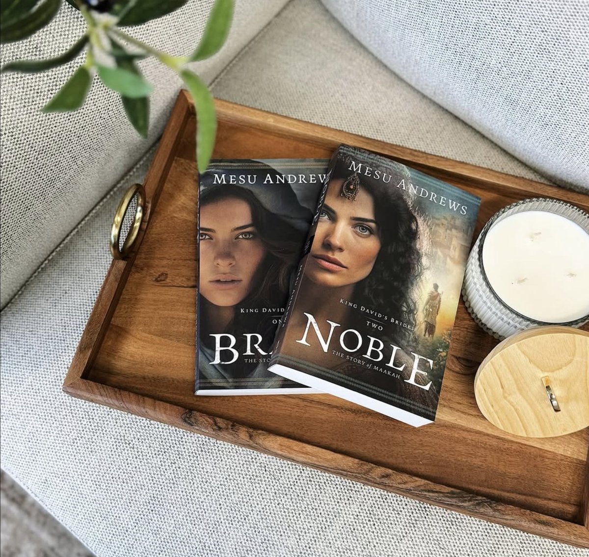 Mesu Andrews (@mesuandrews) on Twitter photo 📚 <a href="/bethany_house/">Bethany House Publishers</a> King David’s Brides series giveaway!
You can be one of three people to win a copy of Brave and Noble! To enter: instagram.com/p/DNnoFDWRYYz/
Ends Tuesday, August 26.
#noblenovel #bravenovel #biblicalfiction #bookgiveaway #bookstagram #bethanyhouse 📚 <a href="/bethany_house/">Bethany House Publishers</a> King David’s Brides series giveaway!
You can be one of three people to win a copy of Brave and Noble! To enter: instagram.com/p/DNnoFDWRYYz/
Ends Tuesday, August 26.
#noblenovel #bravenovel #biblicalfiction #bookgiveaway #bookstagram #bethanyhouse