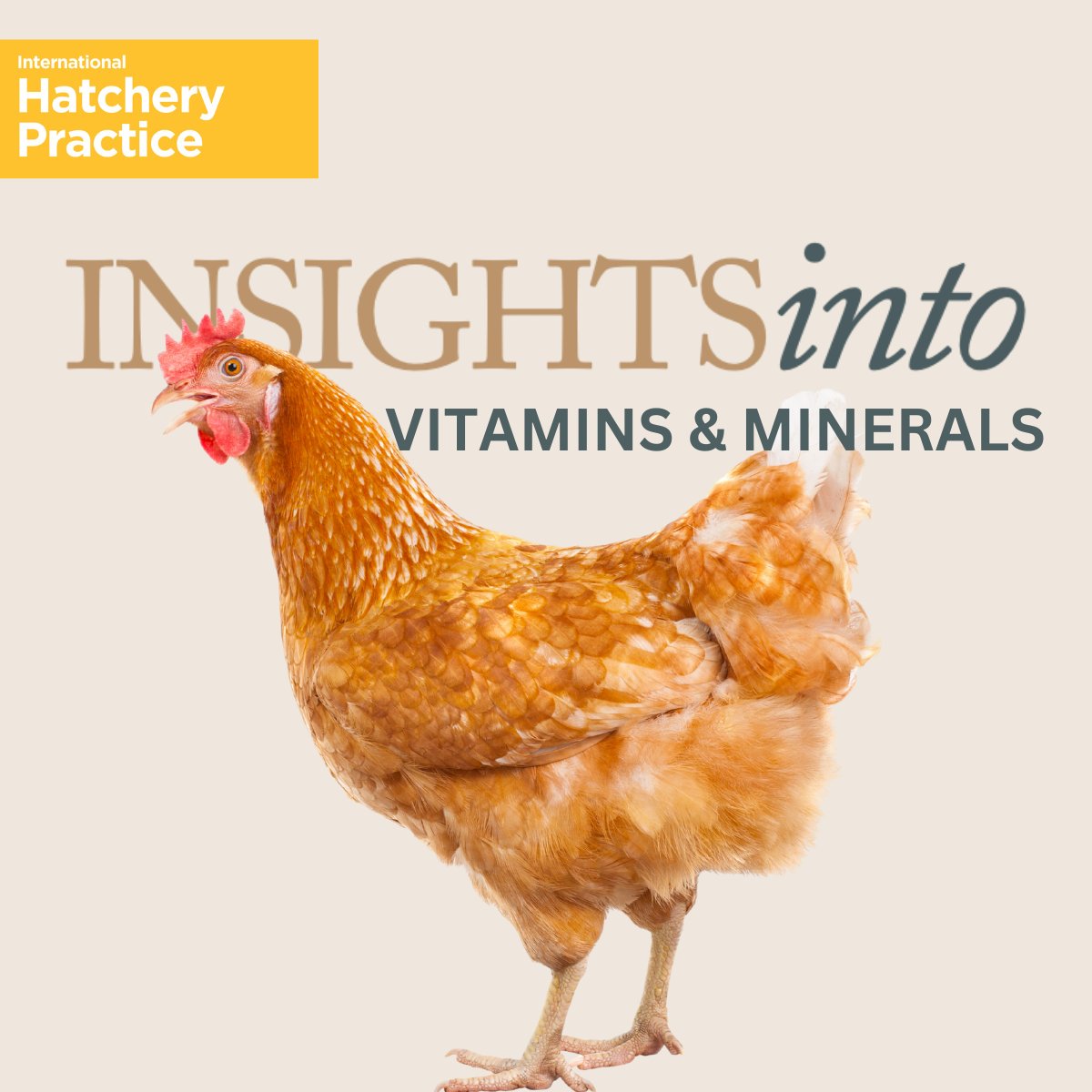 Vitamins and minerals are essential for breeder and chick performance, supporting growth, immunity and hatchery success. 

Explore the latest Insights into feature in International Hatchery Practice: agriinsight.link/IHP_39_5_Insig…

#poultryvitamins #poultryminerals