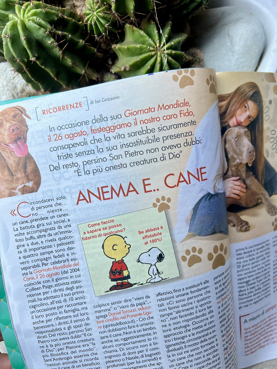 «Circondatevi solo di persone che… no… niente… un cane, prendete un cane».

🐩E in occasione della Giornata Mondiale del #Cane (26 agosto),  vi racconto dell'amore verso i quattrozampe, definiti "le più oneste creature di Dio"

Su Intimità ✍️🤩

#GiornataMondialedelCane #cani