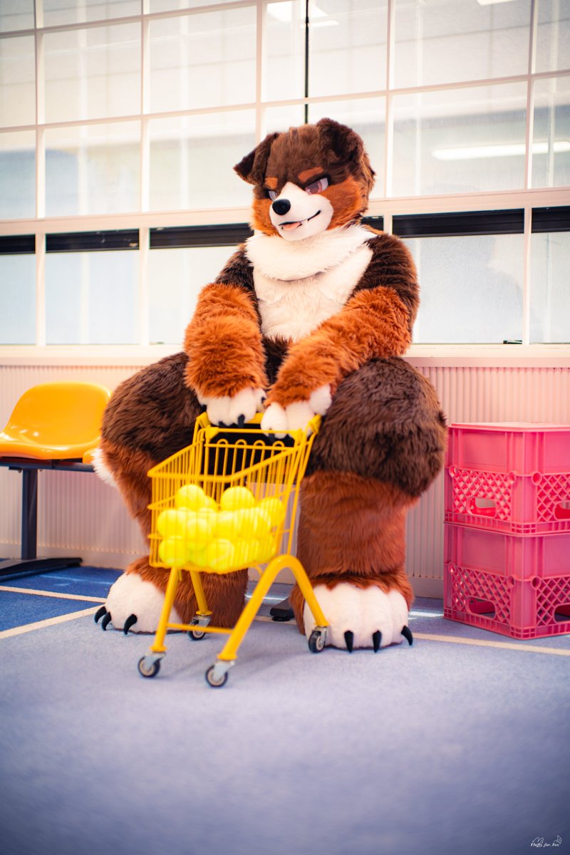 #FursuitFriday

다 내꺼야! 🙃

📸<a href="/Fluffy_fur_Fox/">_Fluffy_Fox 🔜 집</a>