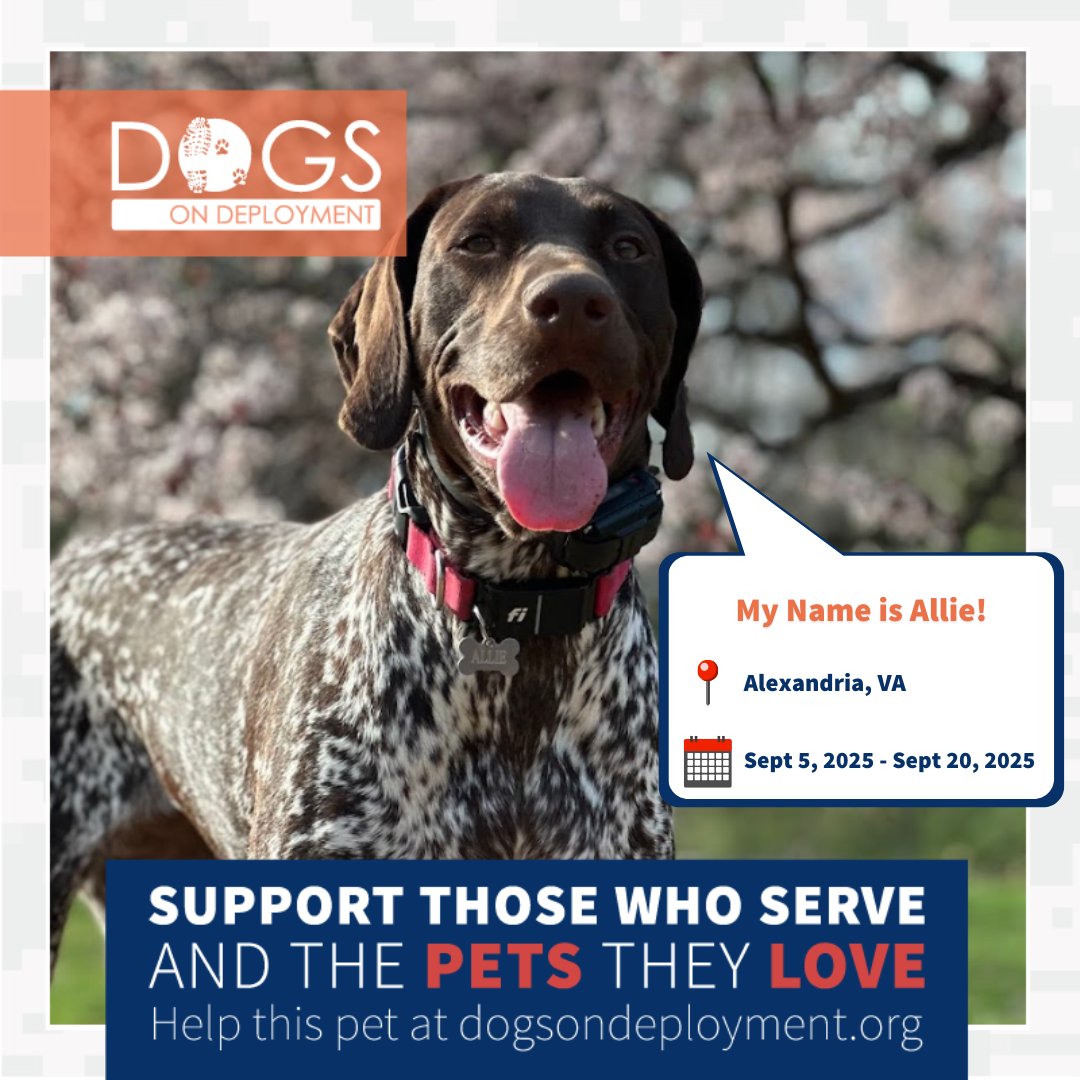 DogsonDeploymnt's tweet photo. Hey #Virginia, these doggie duos need DoD Boarders! Can you help?
Buddy & Addie: https://t.co/W5Sy9lleKO
Allie & Indy: https://t.co/Ep6PwA41Af
(Must be registered as a DoD Boarder and logged on to view all information!)
#MilitaryPetInNeed #DogsonDeployment #DoDMission https://t.co/BfsgMu8xow