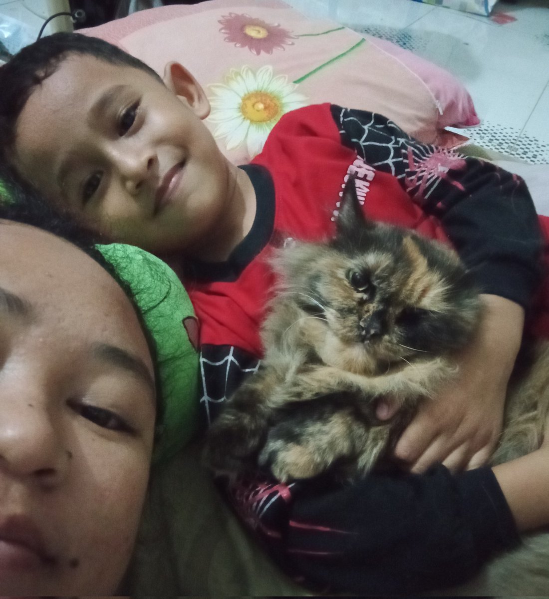 🙀 (@molys_fam) on Twitter photo 