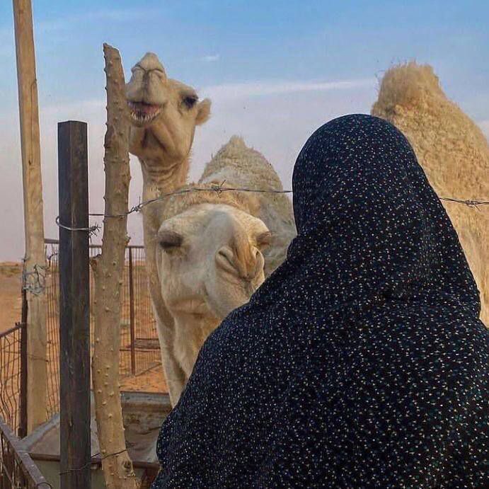 الجناب السمْح مني واليدين الحاتميّة 
ممتلي قلبي شعوروممتلي صدري رحابه 

من طباع الاولين اخذت صبر وطيب نية
واتزان ورشد وادراك وحضورٍ ينحكى به

لابسه عزي وشاح وبي غرور وعنجهيّة
اتباهى بي فخر وآنا سليلة :راس لابه