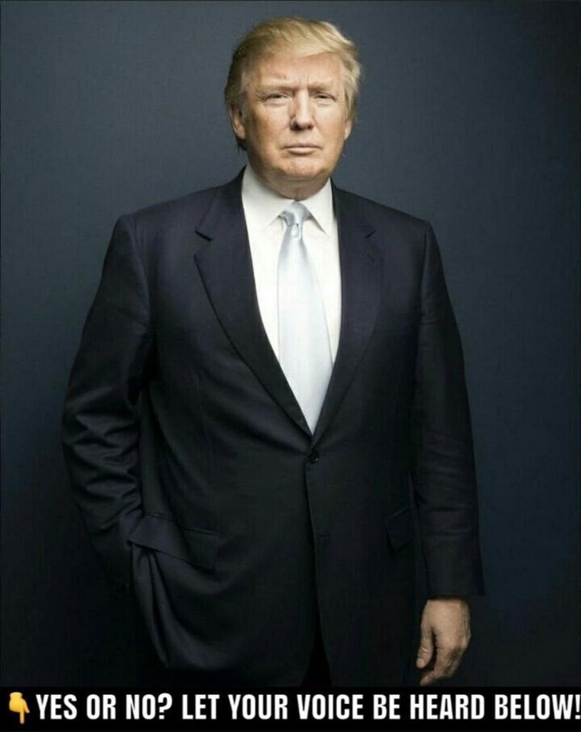 🚨Simple YES or NO poll. 

Should an ID be required to vote?

A. Yes 
B. No