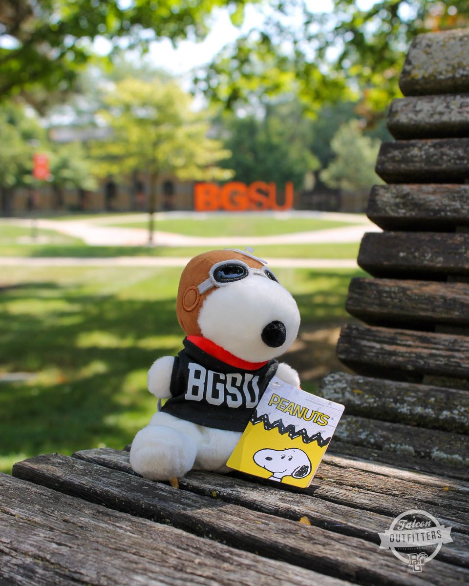 Falcon Outfitters tweet media