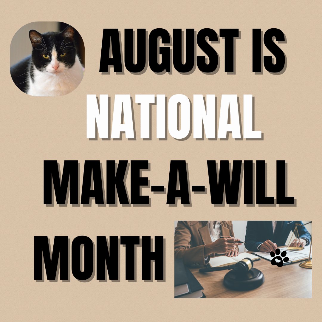 petsalive's tweet photo. August is Make-A-Will Month! By including Pets Alive in your will, you create a legacy of love that ensures homeless animals have safety, care, and brighter futures.
Learn more: https://t.co/7K2VrUyaH3
#MakeAWillMonth #PlannedGiving #AnimalRescue #SupportShelters https://t.co/ZASjOCS1Tp