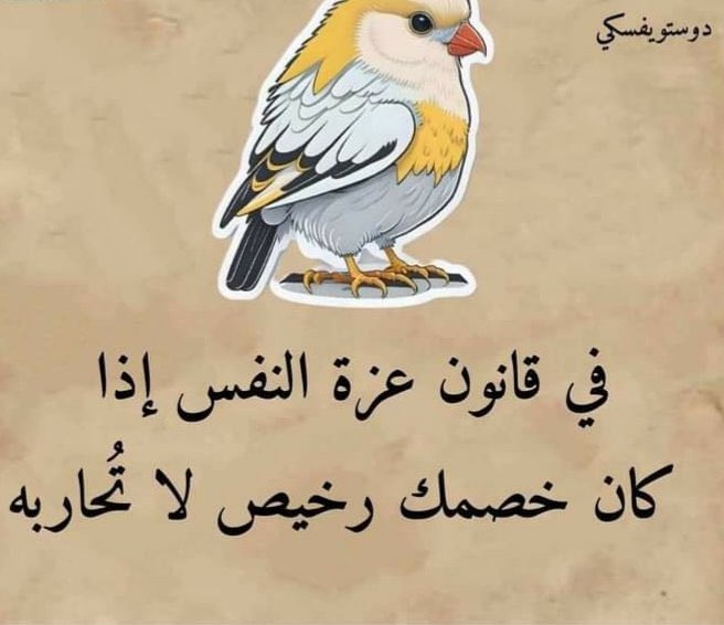 alakeila's tweet photo. @MALHACHIMI انت رخيص. https://t.co/NywMc3FlvU