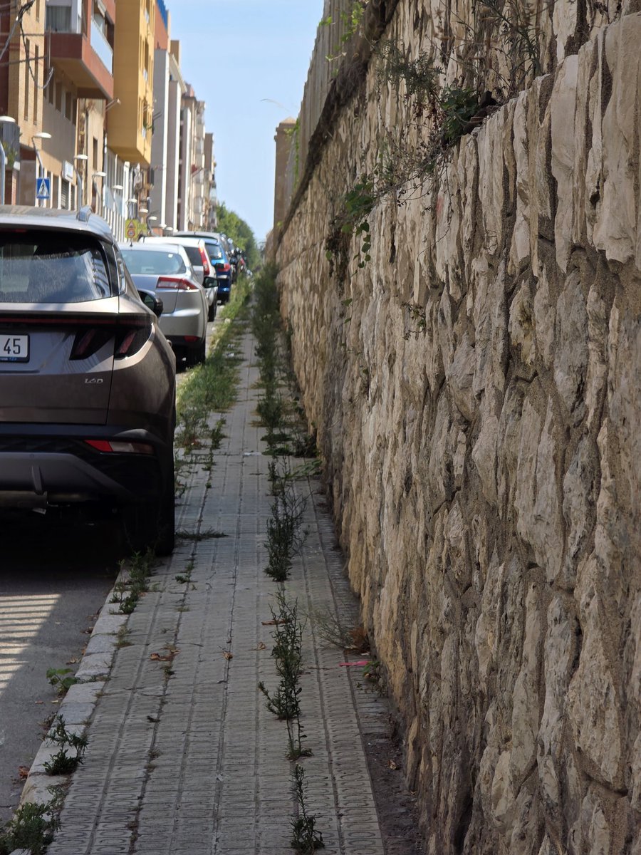 Francesc_1976's tweet photo. @TGNAjuntament El que heu de fer es netejar els carrers de la part baixa. Al carrer de Mar a part de bruticia i herbes la pudor es insoportable. Brossa fora dels contenidors i voreres plenes de merda.
Aquesta situacio insalubre es constant https://t.co/WMhfEPMw2e