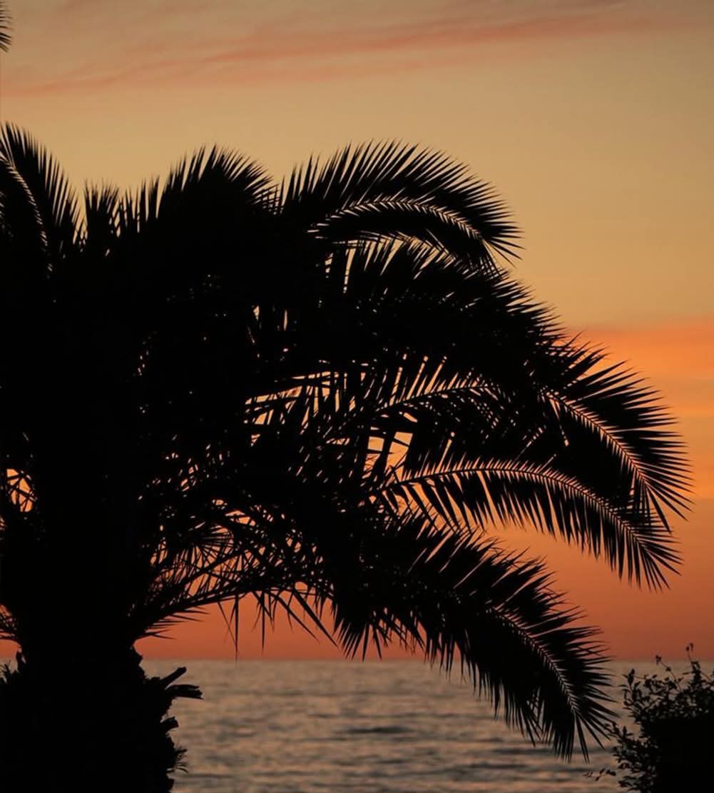 have a good evening✨️🌿🌿