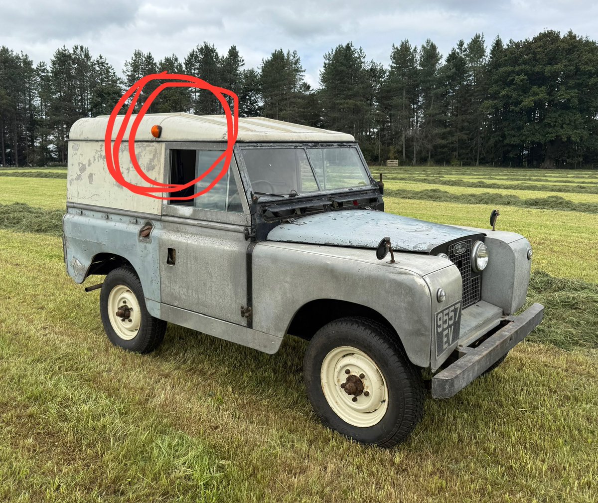 Lawrence Whittaker tweet media