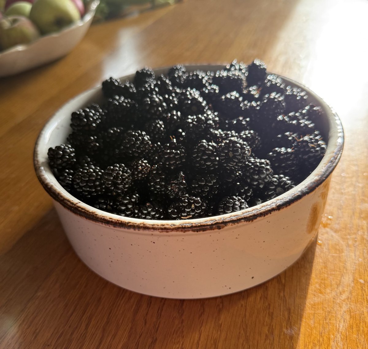 SueC00K's tweet image. Fabulous hedgerow harvest garnered in on the afternoon dog walk. Will there be jam tomorrow? #foodforfree