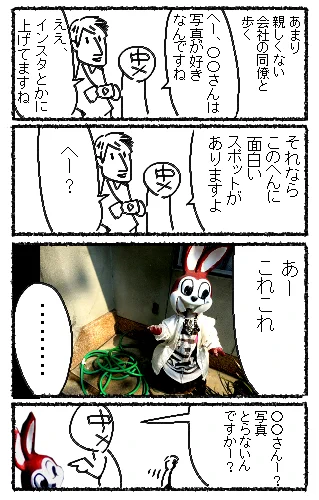 バニーの日なのでウサギネタ(再掲) 