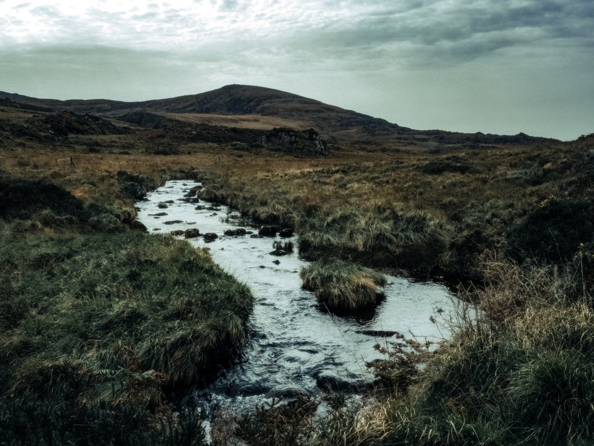 artofseanmurphy's tweet photo. The Rugged Landscape of Mythology https://t.co/THzx70Kpsj