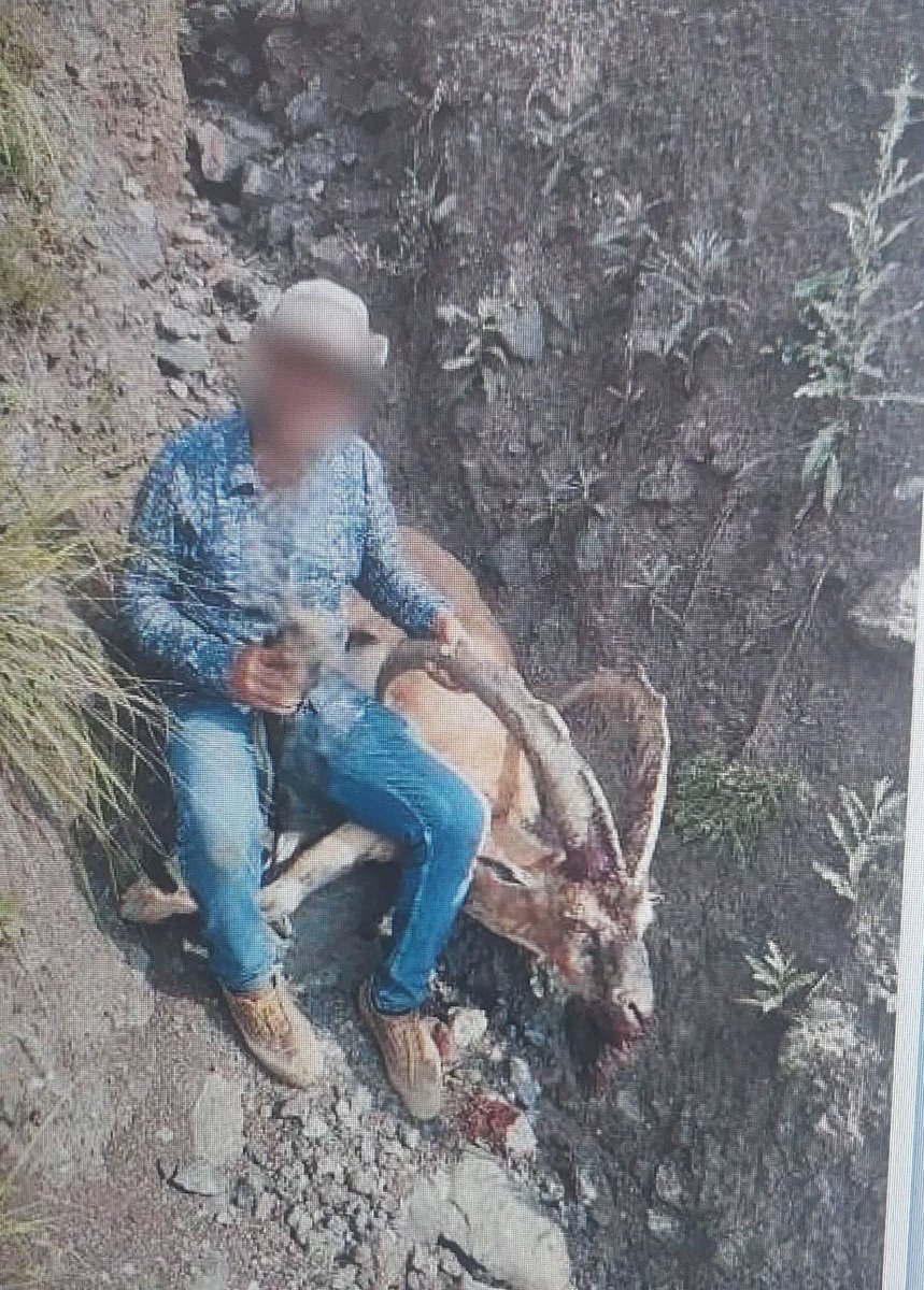 Kağızman'da Yaban Keçisi avladığı tespit edilerek yakalanan (1) şahsa, 4915 sayılı “ Kara Avcılığı Kanununa Muhalefet” suçu kapsamında (8257 TL) idari para cezası, 650.000 TL tazminat olmak üzere toplam ( 658.257 TL) para cezası uygulandı.
#hadisehaddinibil #erhanafyoncu
#kars