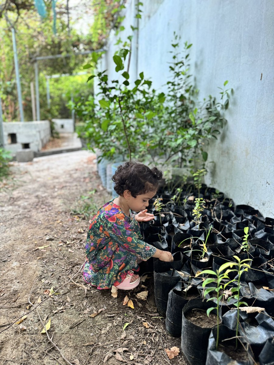 لولو تستعد للموسم الزراعي🌿🪴