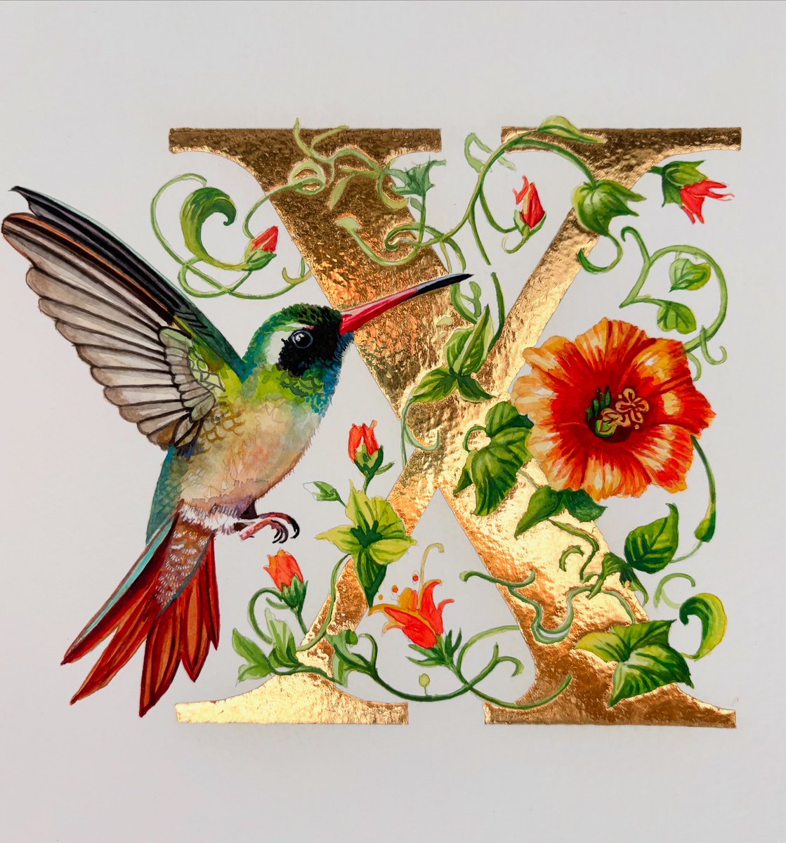 ‘X’ is for Xantus’s Hummingbird 
Watercolour, gouache and 24k gold 
28 x 21 cms
By Sheila Wallis