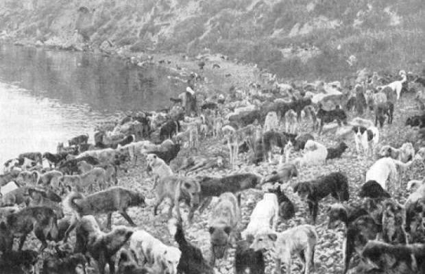 ceylan_peace's tweet photo. Hayırsız ada katliamını unutan halk ve yöneticileri! 
Sonra neler olmuştu hatırlasın bir zahmet. 
Bu karma döner dolaşır, 
dünya başımıza yıkılır. 
Ah’lar, çığlıklar yerde kalmaz! https://t.co/akLmK88PAV