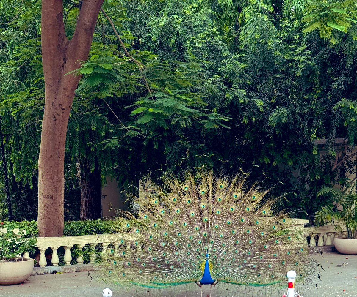 SirohiBhawna's tweet image. #WorldPhotographyDay 2025 !