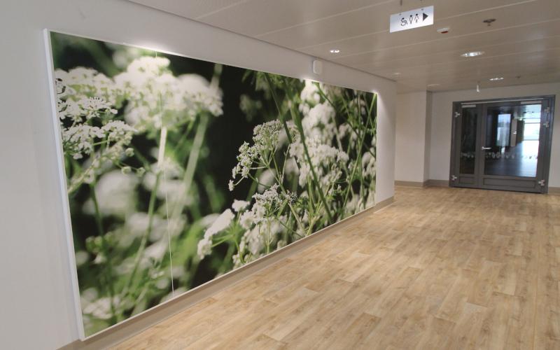 Interlam-Design tweet media